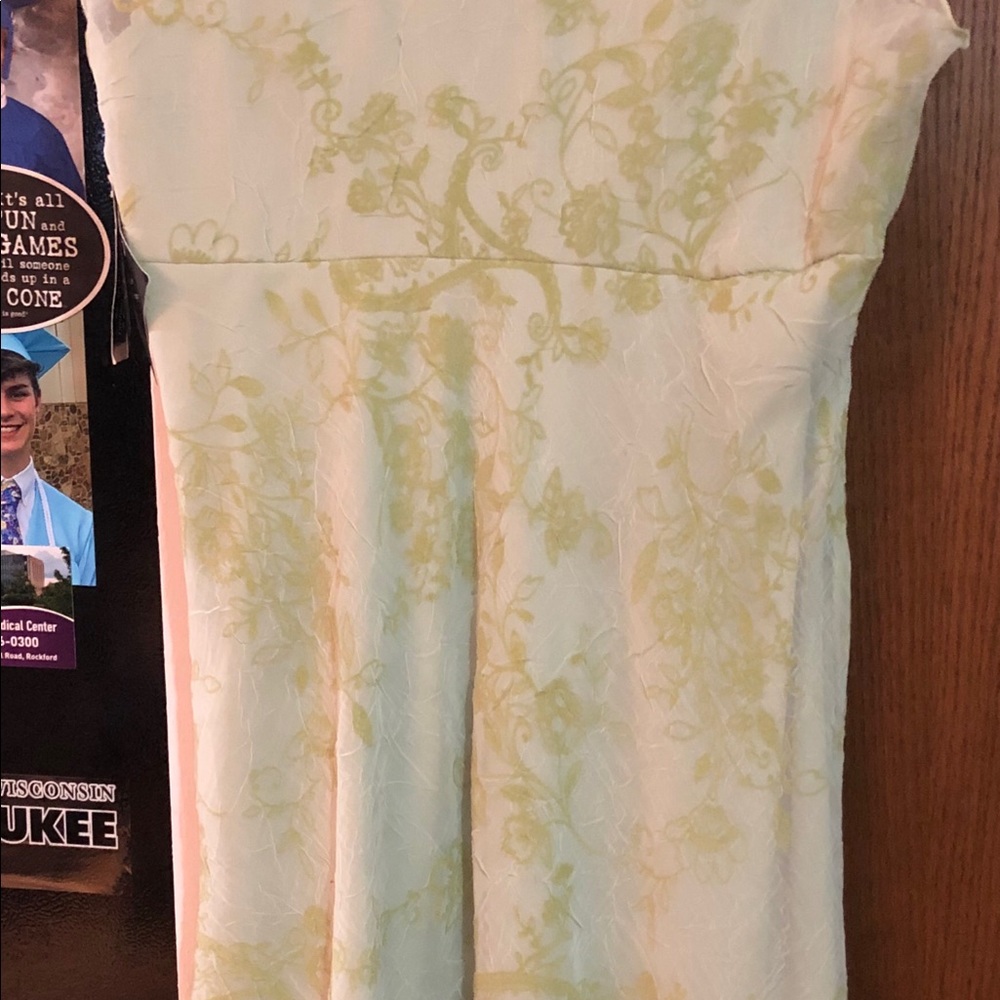 Dress - Picture 5 of 6